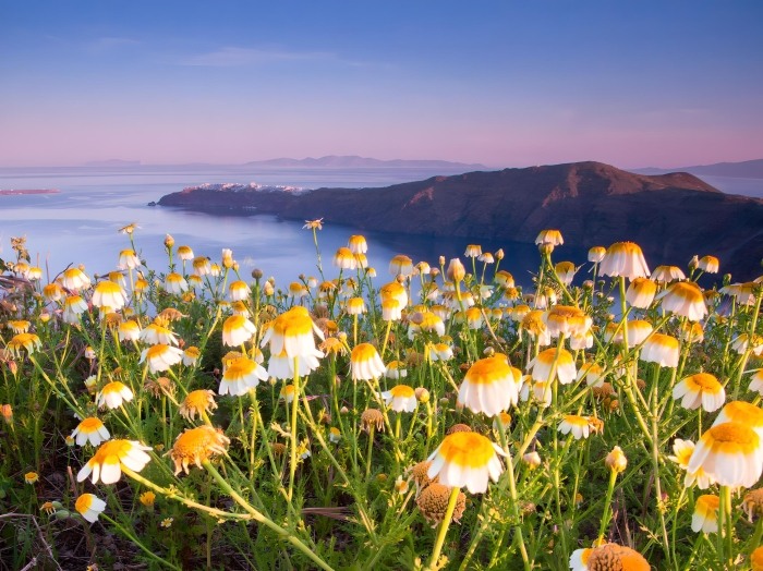 Santorini During Spring