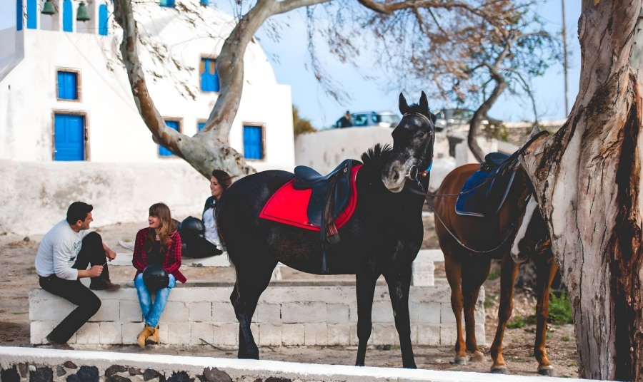Santorini Horse Riding Church Greece