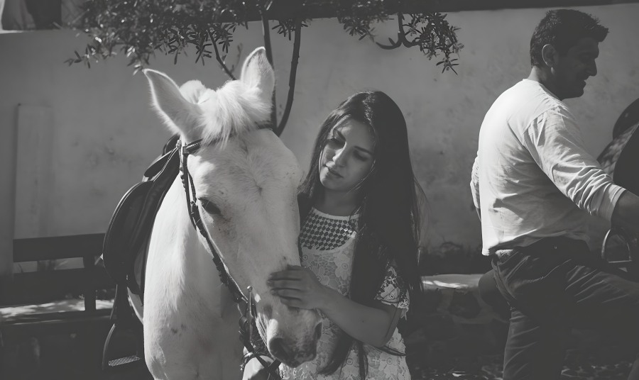 Santorini Horse Riding Megalochori Village