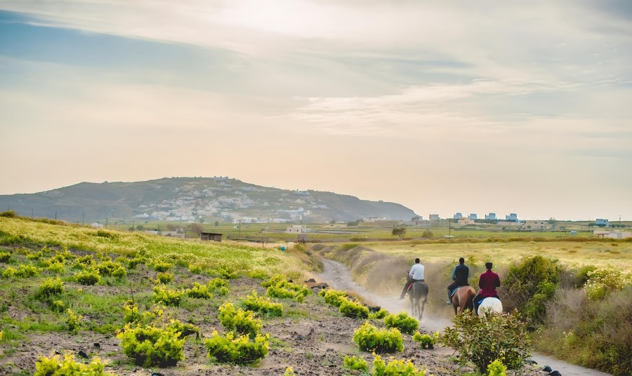Santorini Horse Riding Village