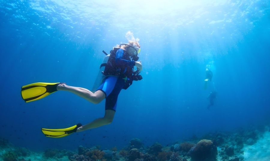 Scuba Diving Reef
