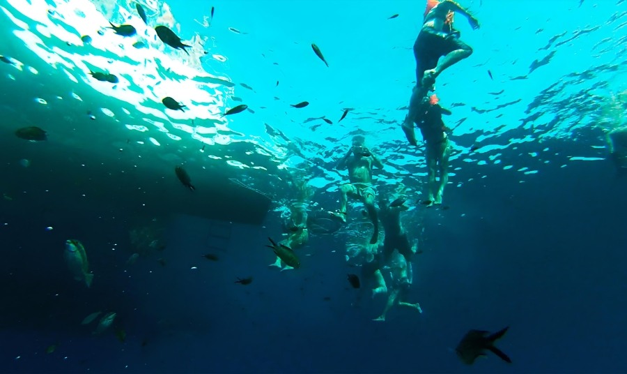 Snorkeling From Catamaran
