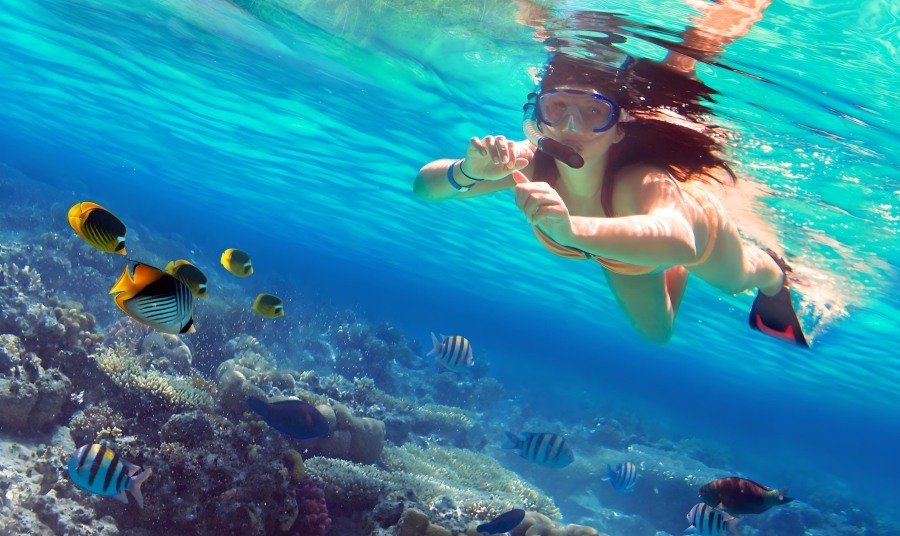 Snorkeling Tour Santorini